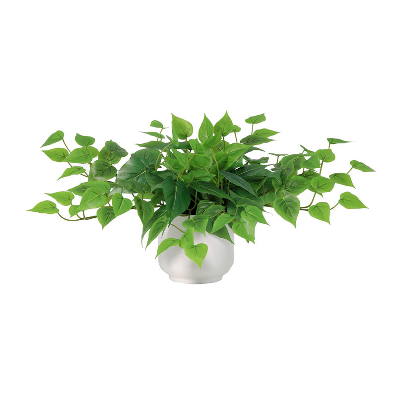 





Artificial Epipremnum with Decorative Pot | 30cm - Afbeelding 6
