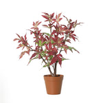 





Sztuczne drzewo Klon | 53cm - Afbeelding 8
 thumbnail