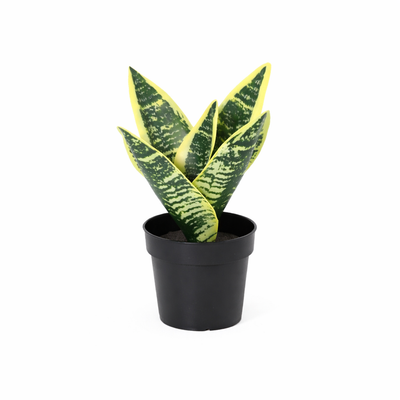 Umělá rostlina Sansevieria | 21cm