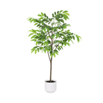 





Kunstpflanze Tropisch mit Ziertopf - Detail view kunstplant
 thumbnail