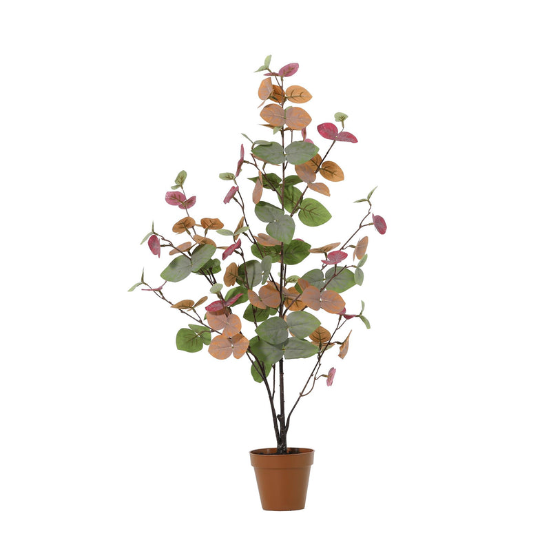 





Plante Artificielle Eucalyptus Herfstkleuren | 86cm - Afbeelding 4
