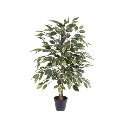 Kunstplant Ficus Benjamina Variegata | 85cm