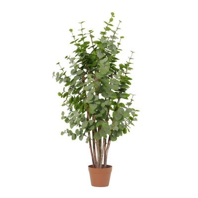 Kunstplant Eucalyptus Groen | 120cm