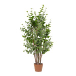 





Kunstpflanze Eucalyptus Groen | 120cm - Afbeelding 8
 thumbnail