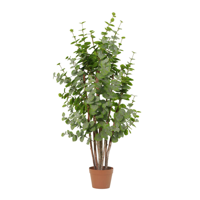 





Kunstpflanze Eucalyptus Groen | 120cm - Afbeelding 8
