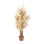 





Kunstpflanze Eucalyptus Geel | 125cm - Afbeelding 5
 thumbnail