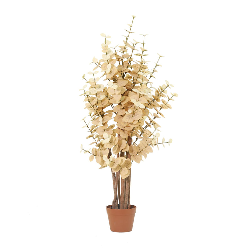 





Kunstpflanze Eucalyptus Geel | 125cm - Afbeelding 5
