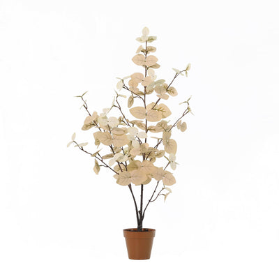 Kunstplant Eucalyptus Wit | 86cm