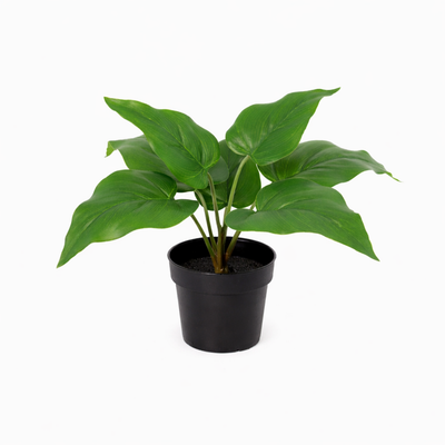 Artificial Philodendron Imperial Green | 25cm