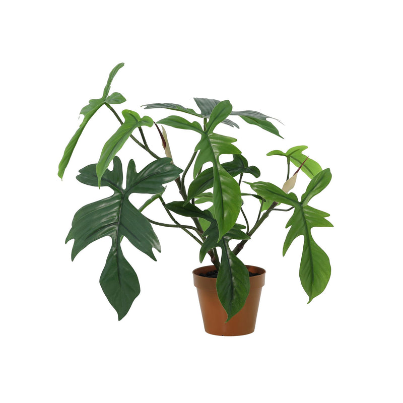 





Umelá Rastlina Philodendron Florida - Afbeelding 6
