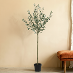





Kunstplant Olijfboom | 150cm - Premium kunstplant van Florafy
 thumbnail