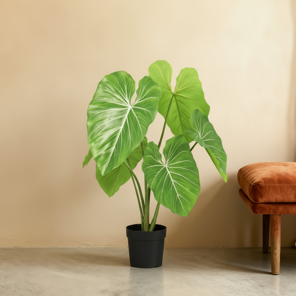 Kunst philodendron 'philodendron' - Perfecte Urban Jungle, 103cm