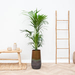 





Vaas Elisa Mystic Bronze - Lifestyle foto kunstplant in interieur
 thumbnail