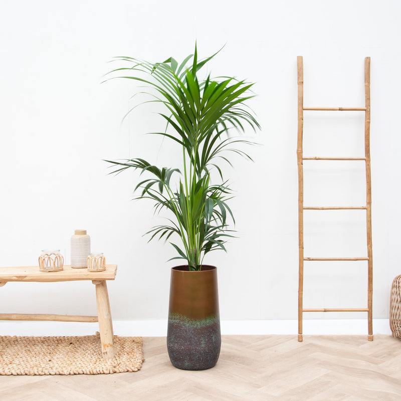 





Vaas Elisa Mystic Bronze - Lifestyle foto kunstplant in interieur

