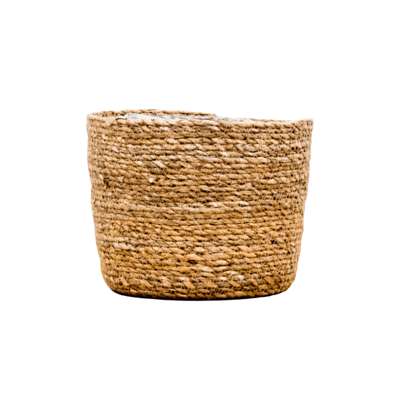 





Korg Scott - Premium kunstplant van Florafy
