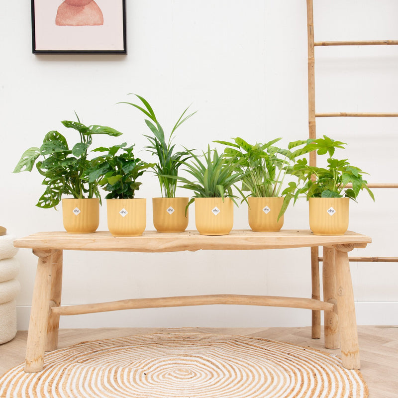 





Maceta elho Vibes Fold Round amarilla - Detail view kunstplant
