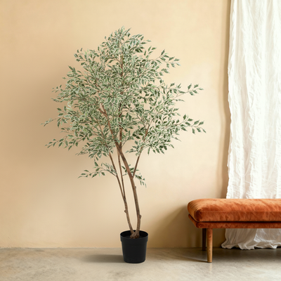 Kunstplant Ficus Benjamina Variegata | 185cm
