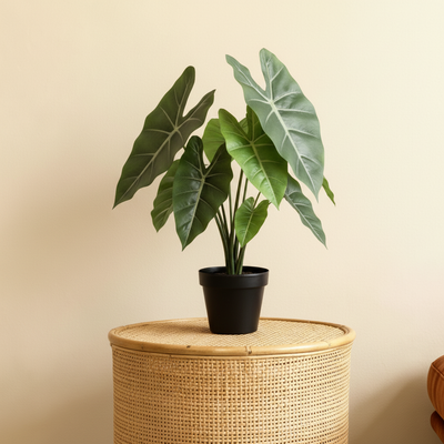 Kunstplant Alocasia | 42cm