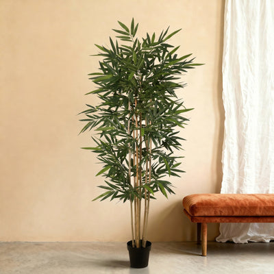 Kunstplant Bamboe | 200cm