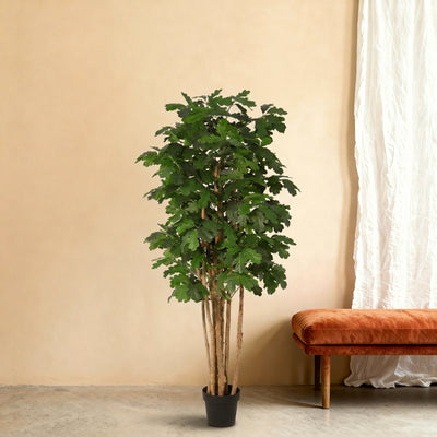 Pianta artificiale Quercia | 170cm