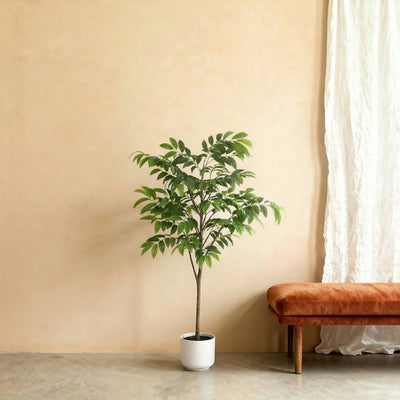 Pianta artificiale Tropicale con Vaso decorativo | 153cm