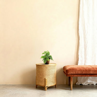 Kunstplant Hoya Groen | 20cm