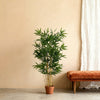 Bamboe Set | 4× 123cm