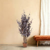 Kunstplant Eucalyptus Paars | 120cm
