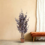 





Kunstpflanze Eucalyptus Paars | 120cm - Premium kunstplant van Florafy
 thumbnail