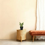 





Sztuczna Roślina Sansewieria - Afbeelding 7
 thumbnail