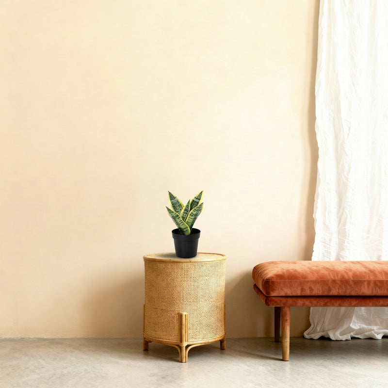 





Sztuczna Roślina Sansewieria - Afbeelding 7
