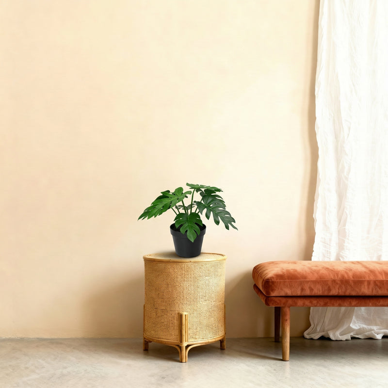 





Artificial Philodendron Xanadu Plant - Afbeelding 6
