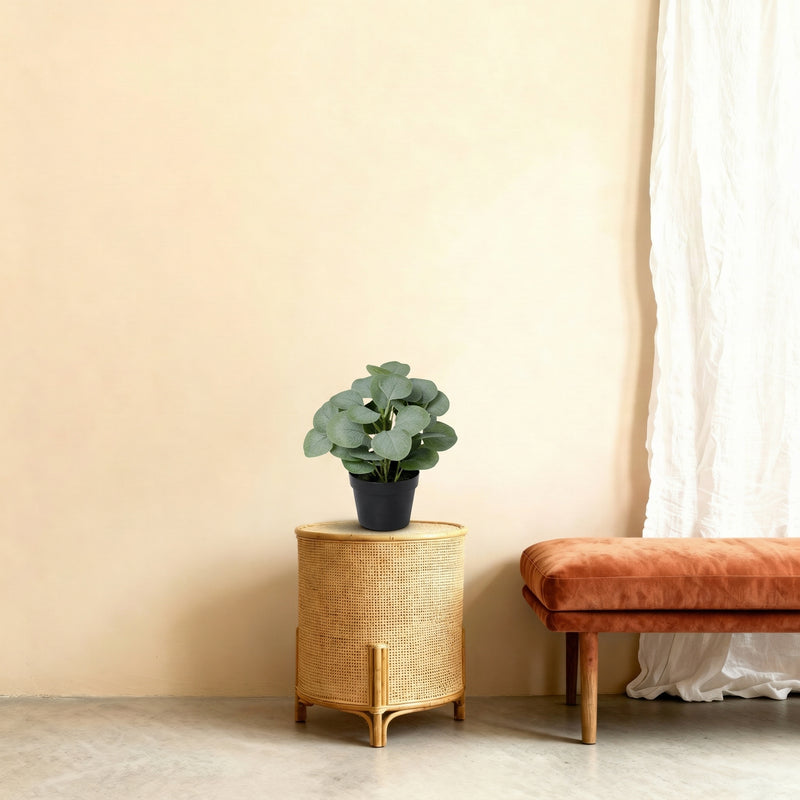 





Kunstpflanze Eucalyptus | 21cm - Afbeelding 7
