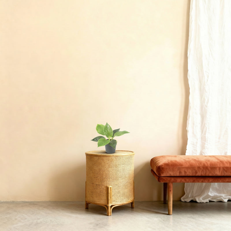 





Kunstpflanze Philodendron Birkin - Afbeelding 6
