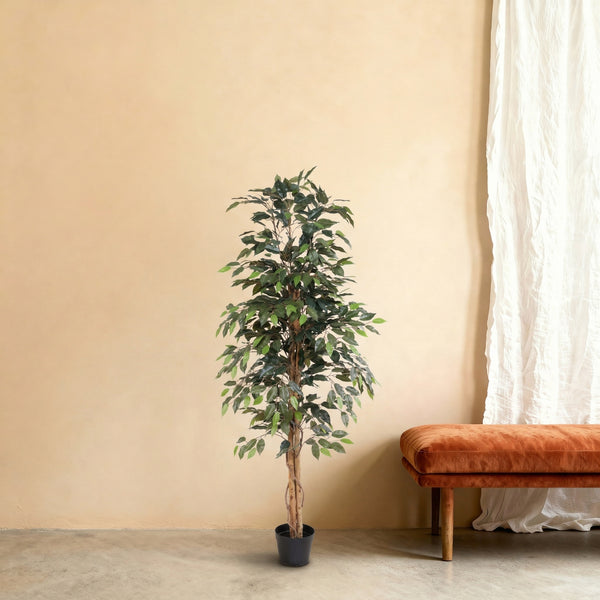 Kunstplant Ficus Benjamina | 160cm — close-up echte stam
