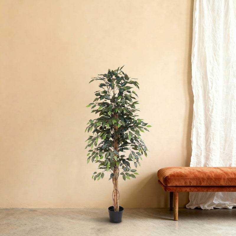 





Konstväxt Ficus Benjamina | 160cm - Premium kunstplant van Florafy
