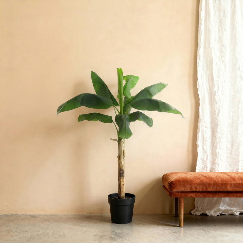 





Umelá rastlina Banánovník | 180cm - Afbeelding 6
