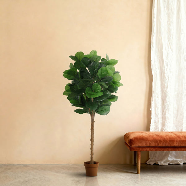 Kunstplant Ficus Lyrata | 160cm — close-up real trunk
