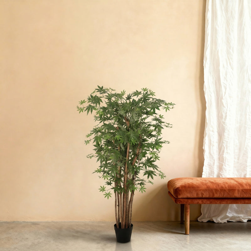 





Konstväxt Acer | 150cm - Premium kunstplant van Florafy
