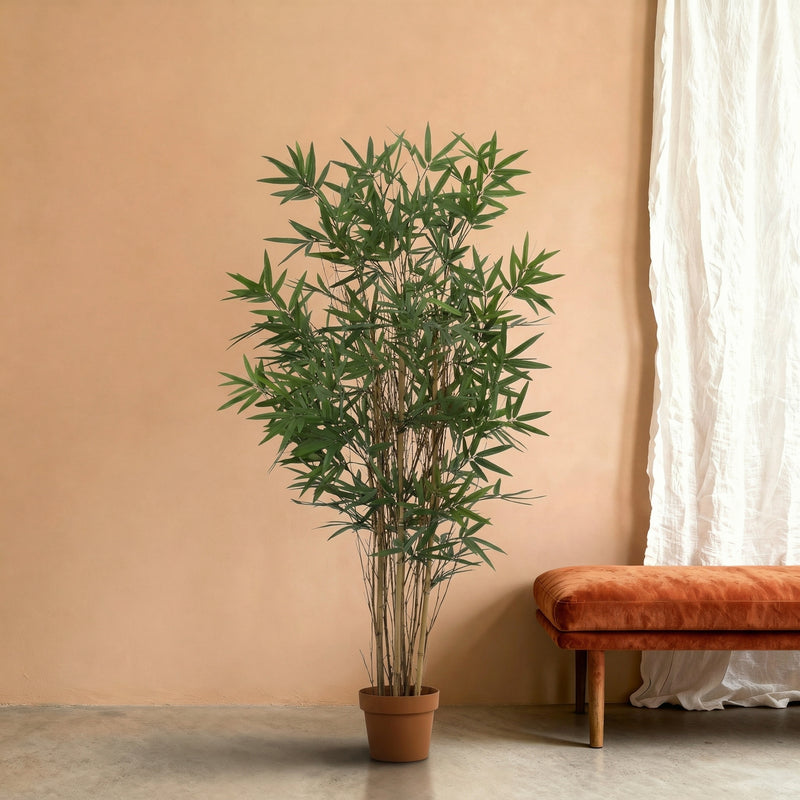 





Kunstpflanze Bambus | 144cm - Premium kunstplant van Florafy
