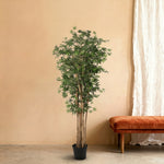 





Plante Artificielle Japanse Esdoorn | 180cm - Premium kunstplant van Florafy
 thumbnail