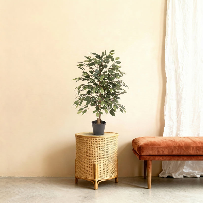 





Plante Artificielle Ficus Benjamina Variegata | 85cm - Afbeelding 5
