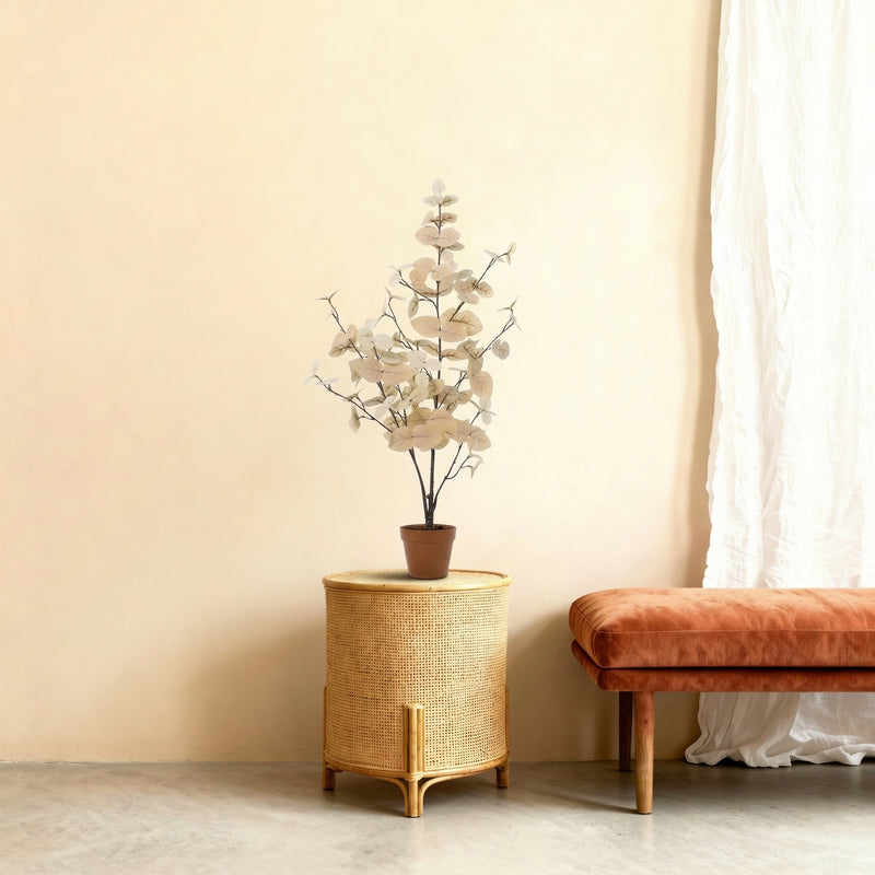 





Kunstpflanze Eucalyptus Wit | 86cm - Afbeelding 6
