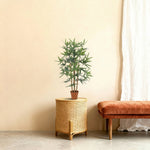 





Konstgjord bambu | 91cm - Afbeelding 6
 thumbnail