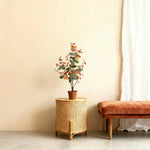 





Plante Artificielle Eucalyptus Herfstkleuren | 86cm - Afbeelding 5
 thumbnail