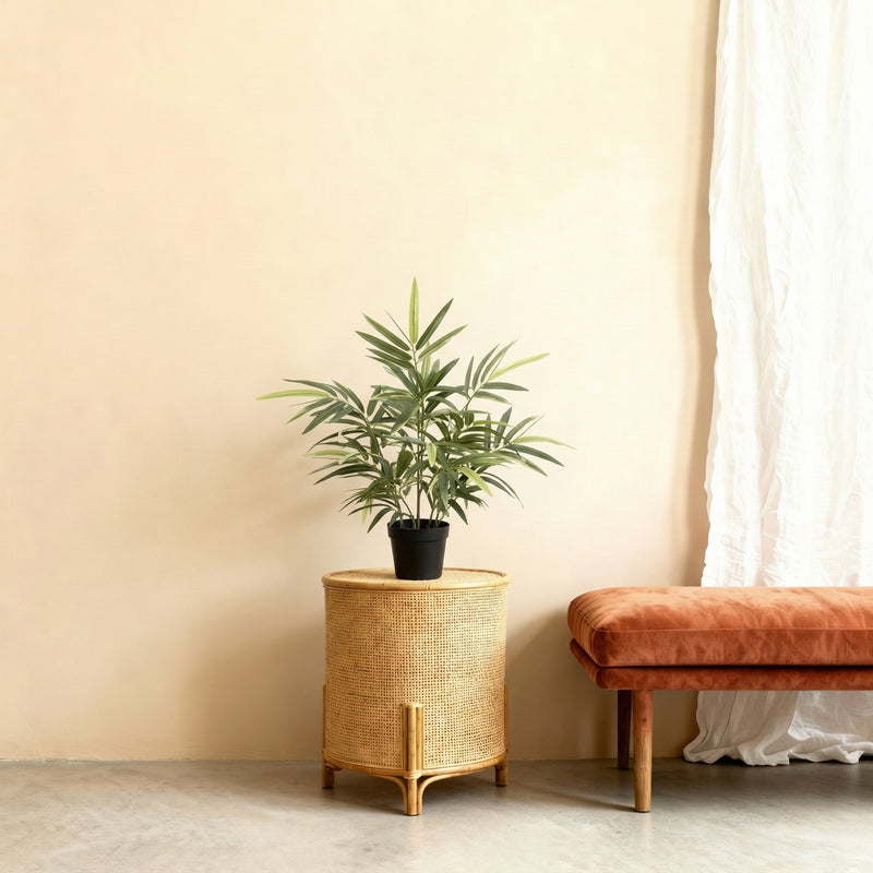 





Sztuczna roślina Bambus | 57cm - Afbeelding 5
