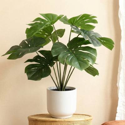 Kunstplant Monstera Deliciosa met Sierpot | 50cm