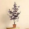 Kunstplant Eucalyptus Paars | 86cm