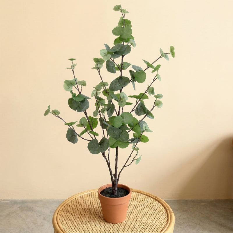





Kunstpflanze Eucalyptus Groen | 86cm - Premium kunstplant van Florafy

