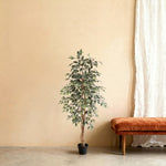 





Sztuczna Roślina Ficus Benjamina Variegata | 160cm - Afbeelding 7
 thumbnail